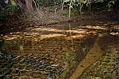 Kbal Spean, called also River of the Thousand Lingam, the riverbed and banks have been graven with linga and various sacred images of hindu divinities 